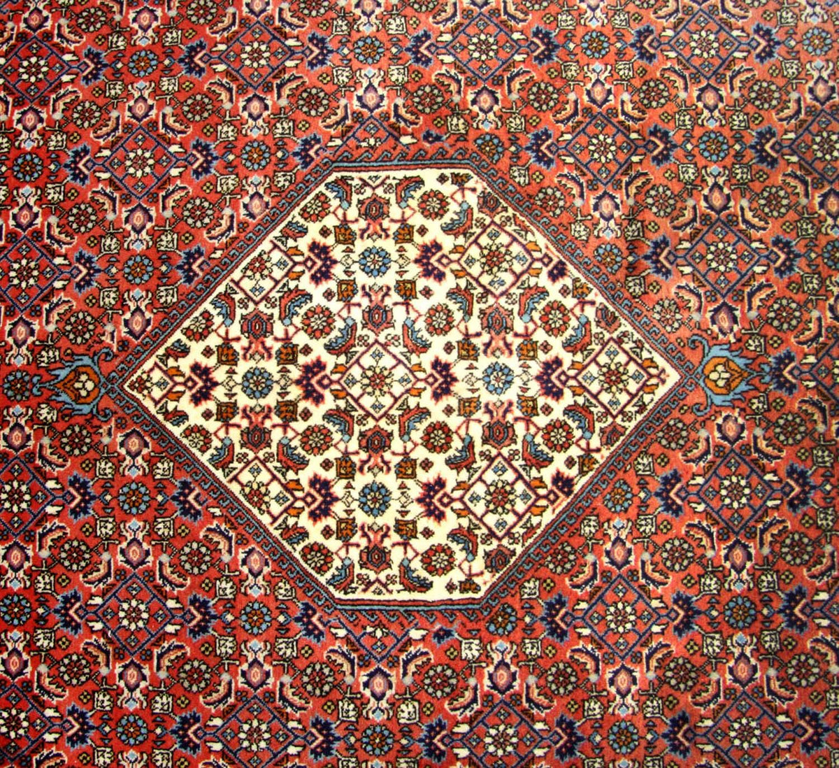 Tapis persan - Bidjar carré  - 260 x 247 cm - marron