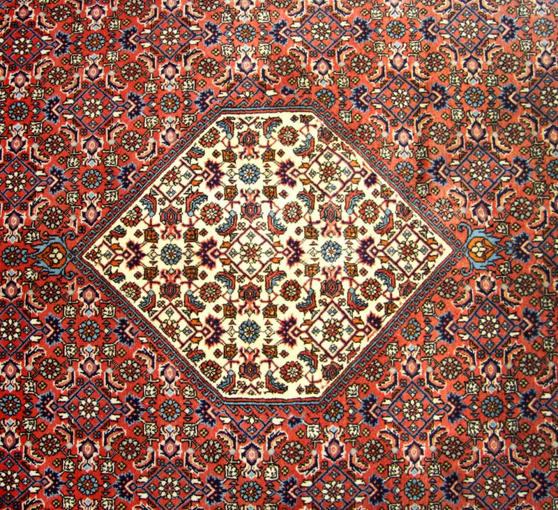 Tapis persan - Bidjar carré  - 260 x 247 cm - marron