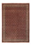 Tapis persan - Bidjar - Royal - 350 x 256 cm - rouge foncé