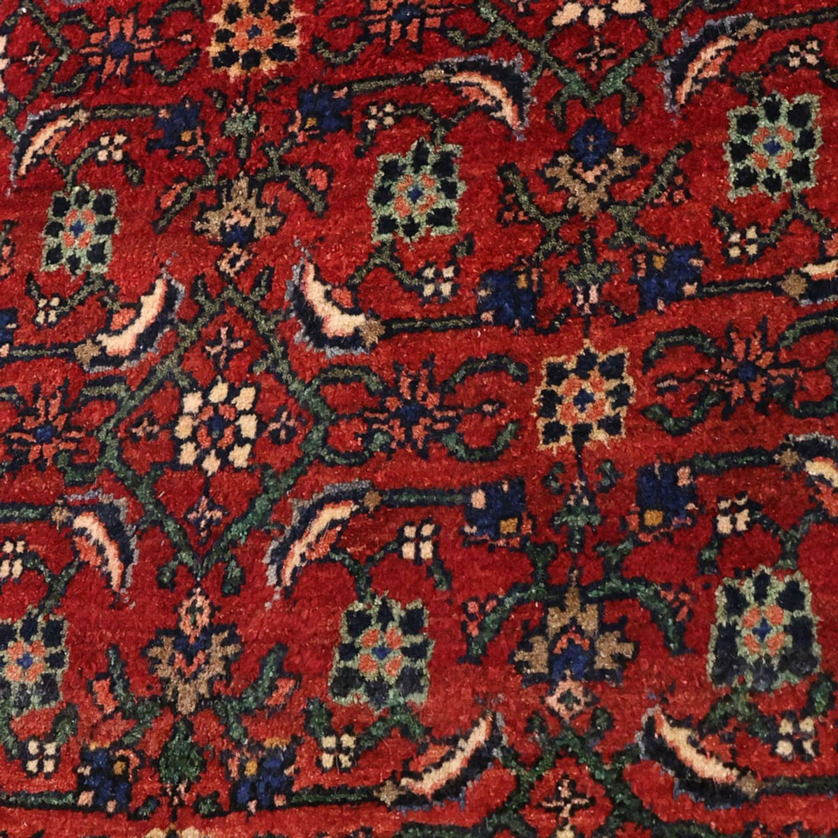 Tapis persan - Bidjar - Royal - 288 x 168 cm - rouge foncé