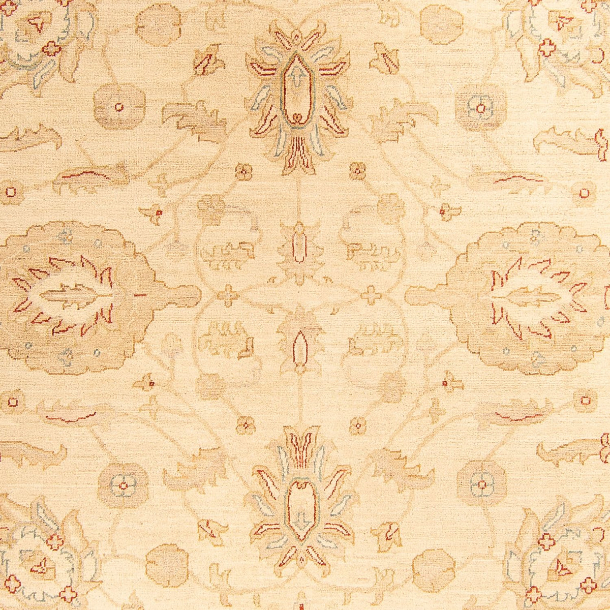 Tapis Ziegler - 307 x 212 cm - beige