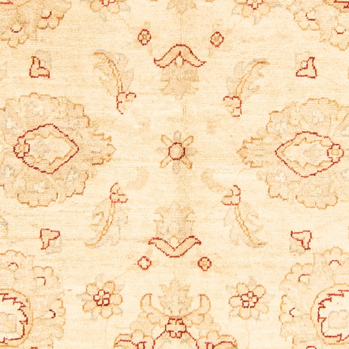 Tapis Ziegler - 207 x 156 cm - beige