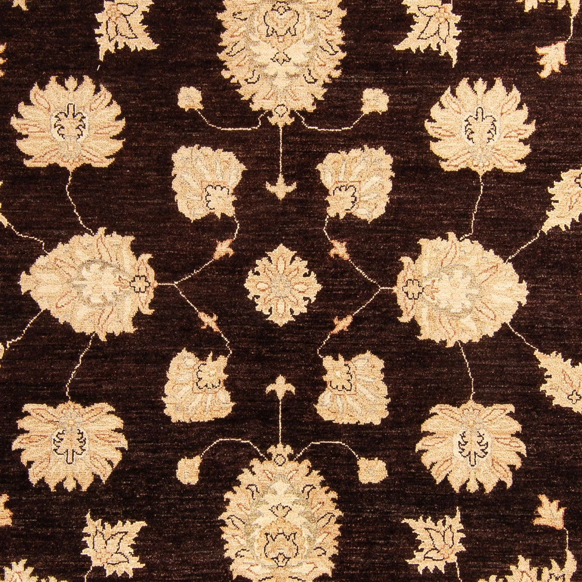 Tapis Ziegler - 288 x 207 cm - marron foncé