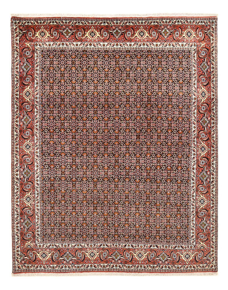 Tapis persan - Bidjar - 264 x 204 cm - rouille