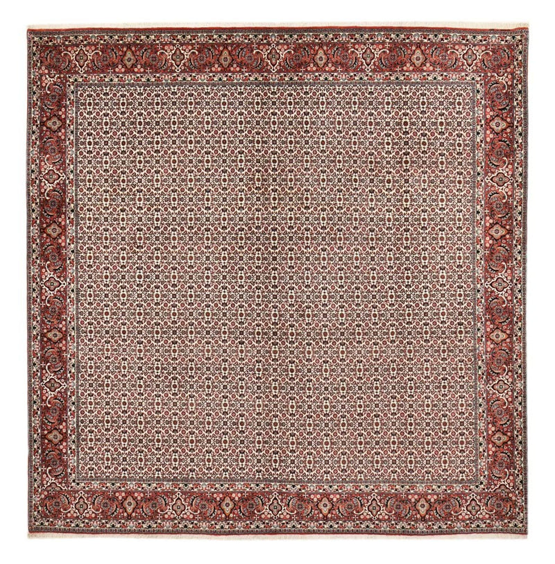 Tapis persan - Bidjar carré  - 306 x 304 cm - rouille