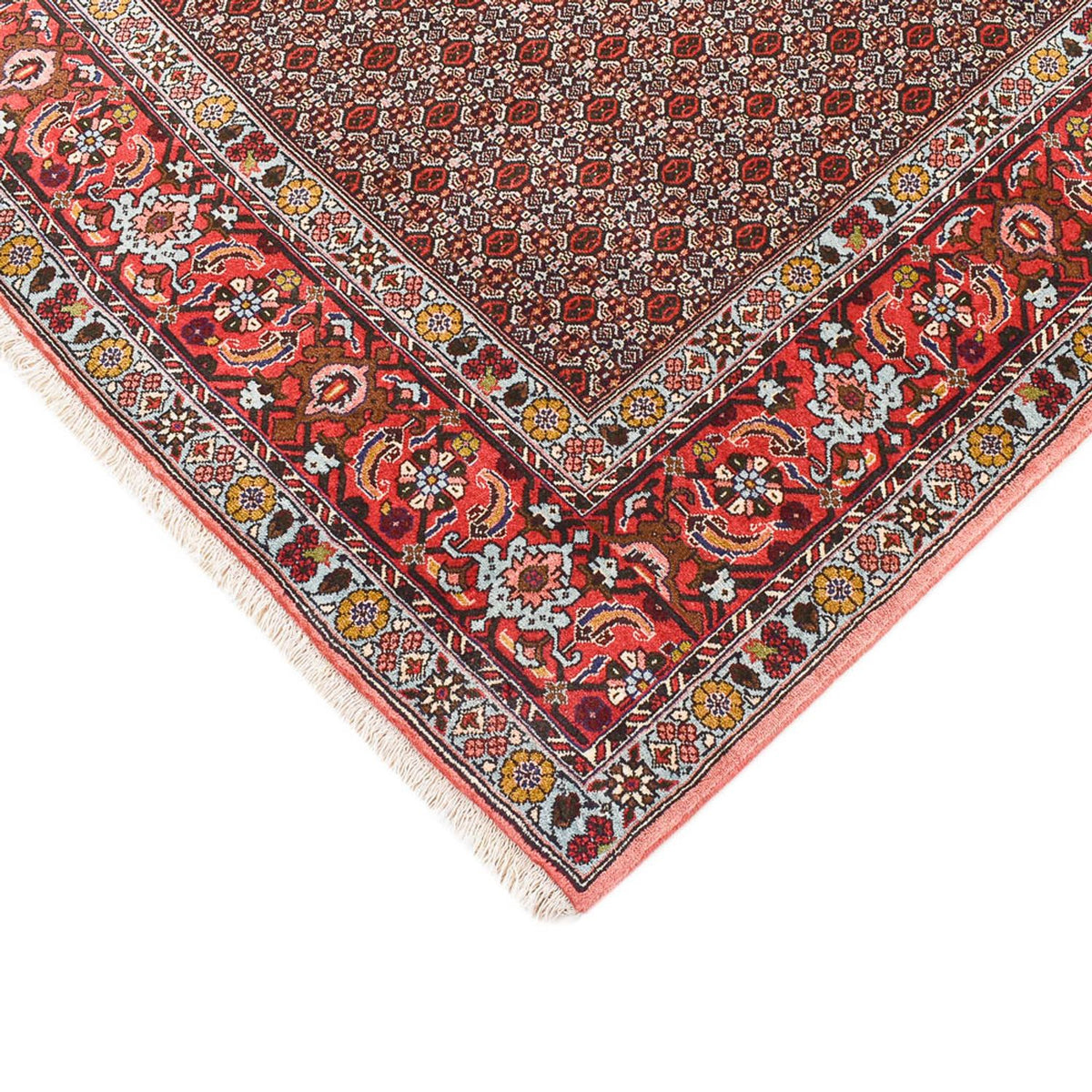 Tapis persan - Classique - 346 x 250 cm - marron