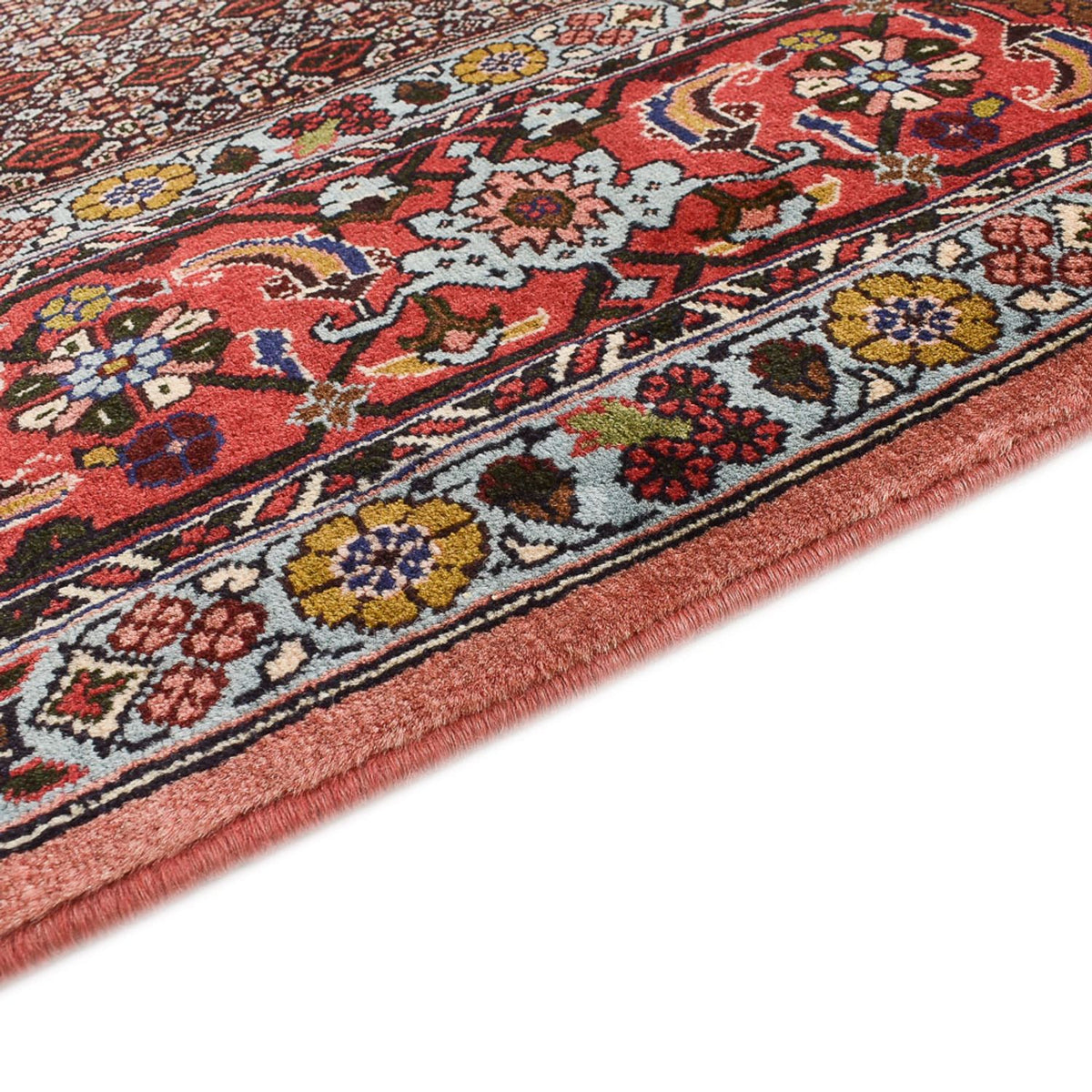 Tapis persan - Classique - 346 x 250 cm - marron