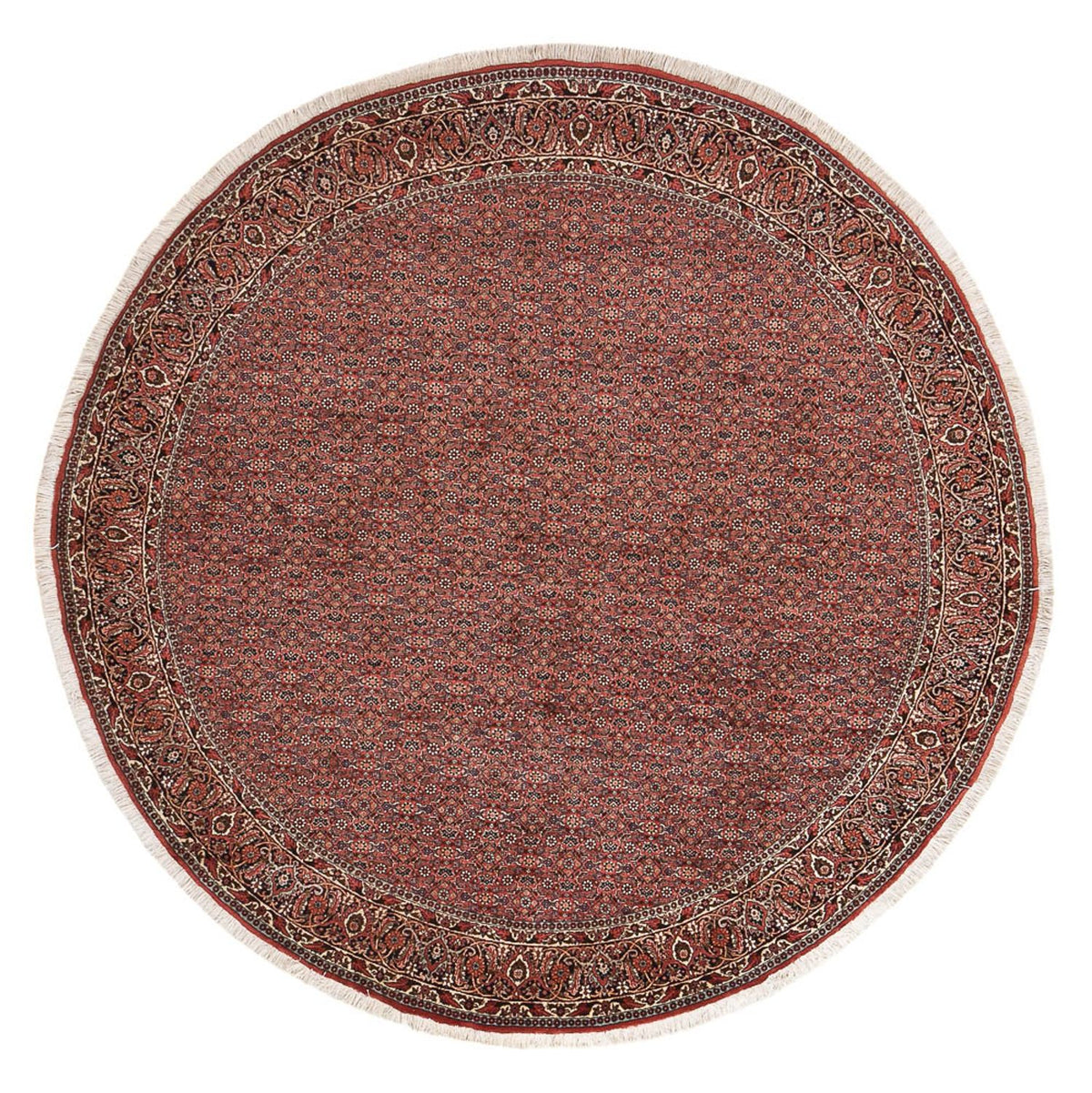 Tapis persan - Bidjar ronde  - 255 x 255 cm - rouille