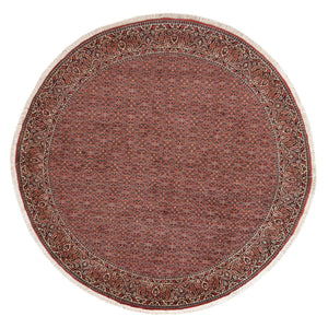Tapis persan - Bidjar ronde  - 255 x 255 cm - rouille