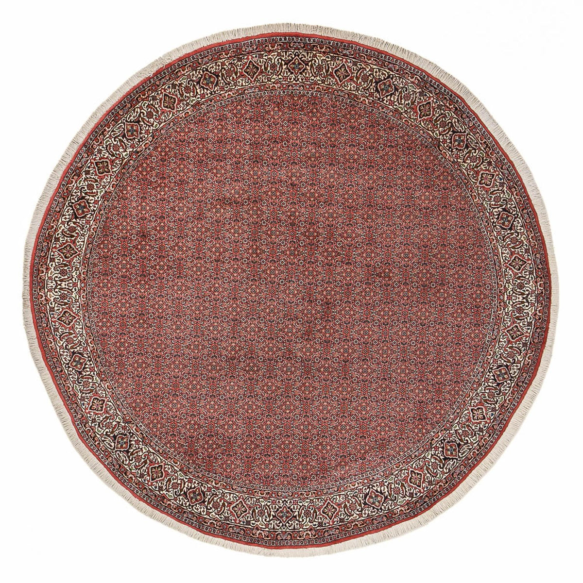 Tapis persan - Bidjar ronde - 300 x 300 cm - rouge bordeaux