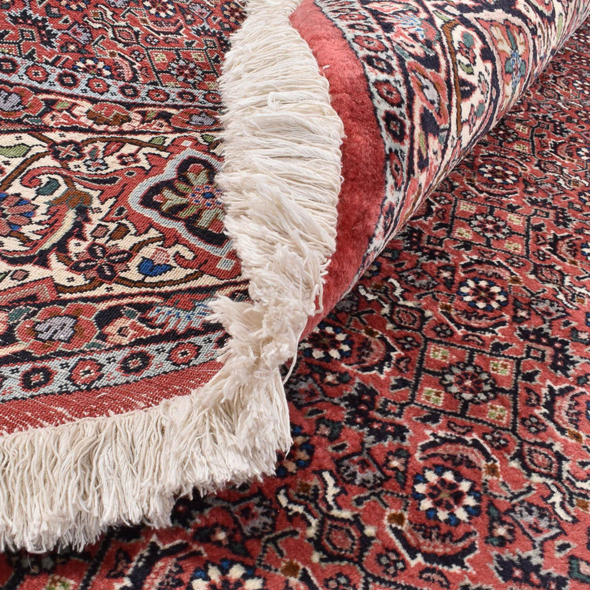 Tapis persan - Bidjar ronde - 300 x 300 cm - rouge bordeaux