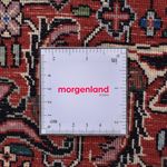 Tapis persan - Bidjar ronde  - 250 x 250 cm - rouille