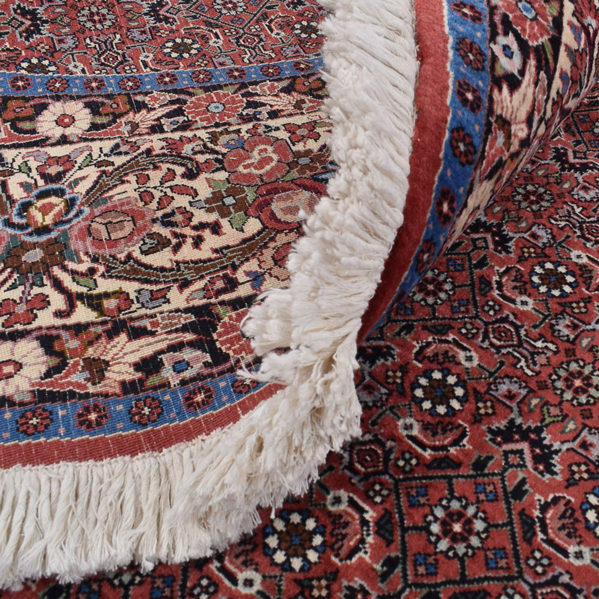 Tapis persan - Bidjar ronde  - 300 x 300 cm - rouille