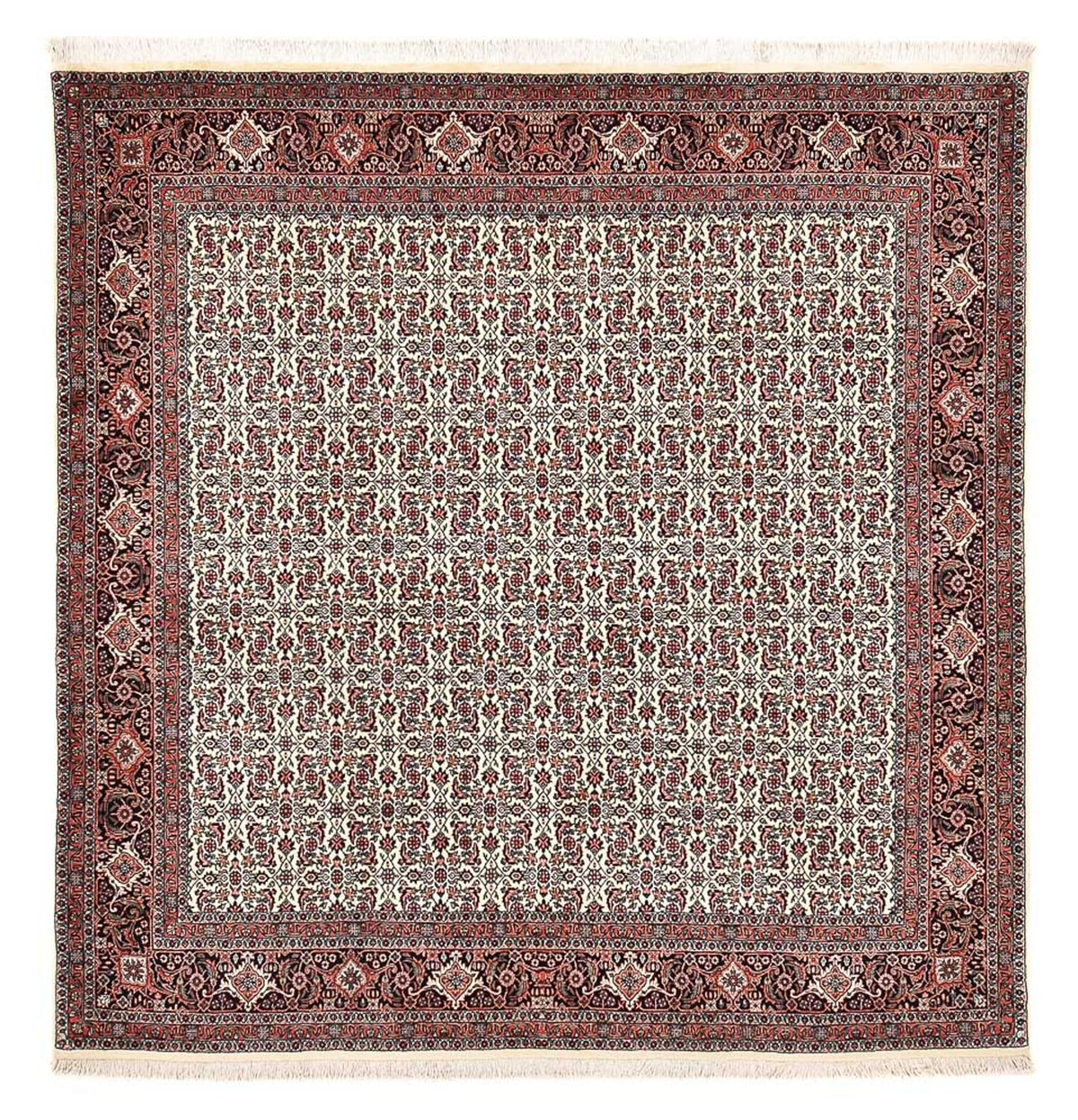 Tapis persan - Bidjar carré - 210 x 199 cm - multicolore