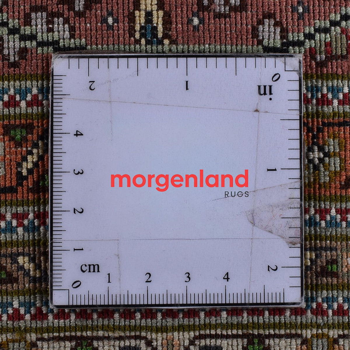 Tapis persan - Tabriz - Royal - 502 x 350 cm - beige clair