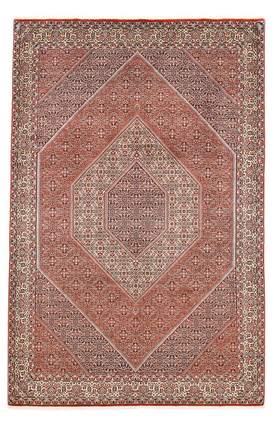 Tapis persan - Bidjar - 295 x 196 cm - rouille