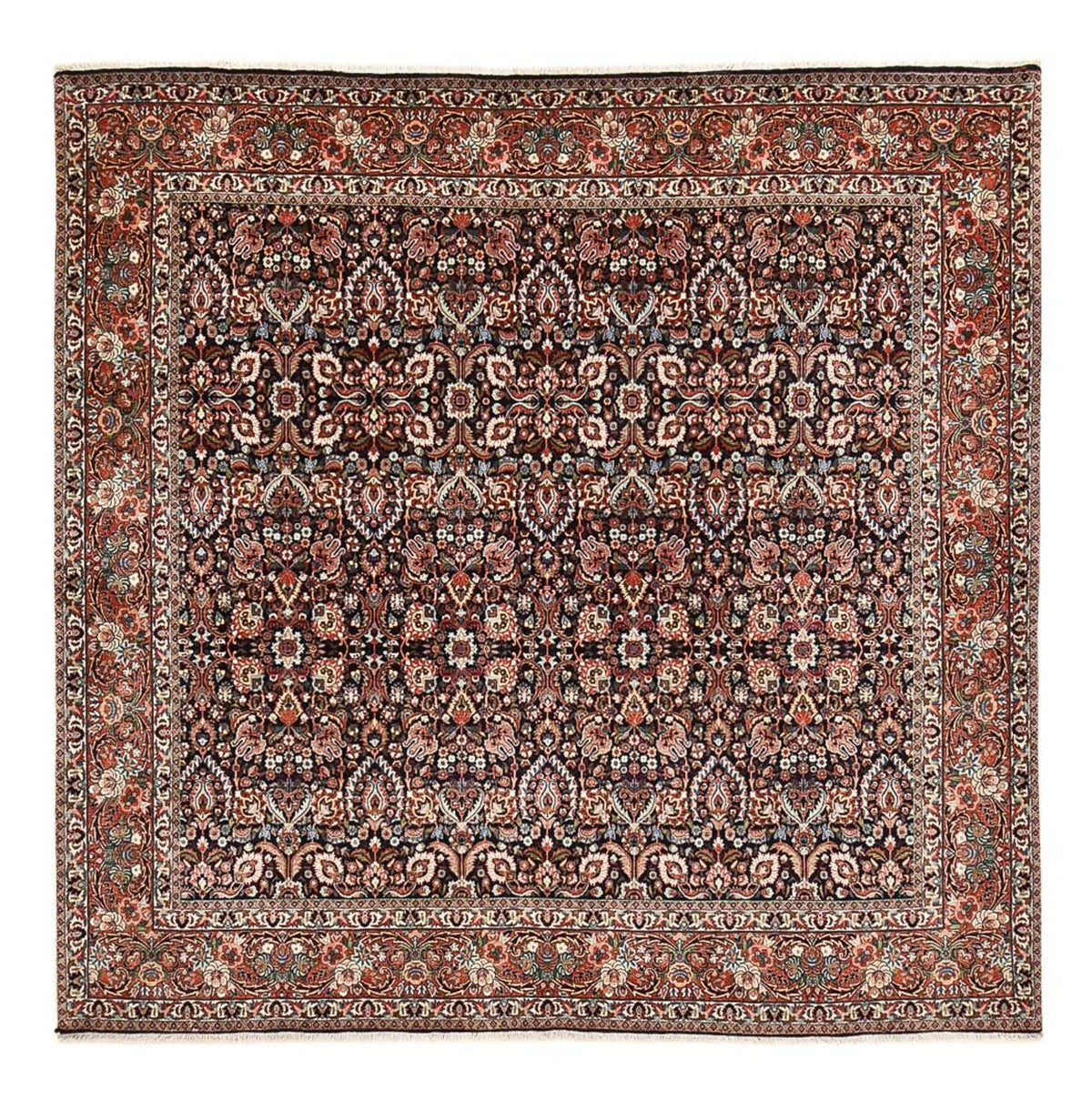 Tapis persan - Bidjar carré  - 252 x 252 cm - rouille