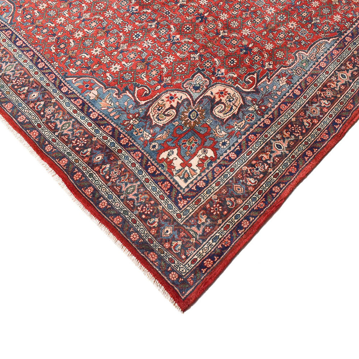 Tapis persan - Bidjar - 300 x 221 cm - rouge clair