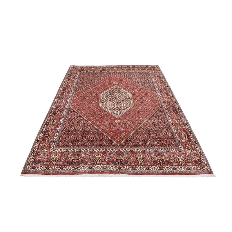 Tapis persan - Bidjar - 295 x 209 cm - rouille