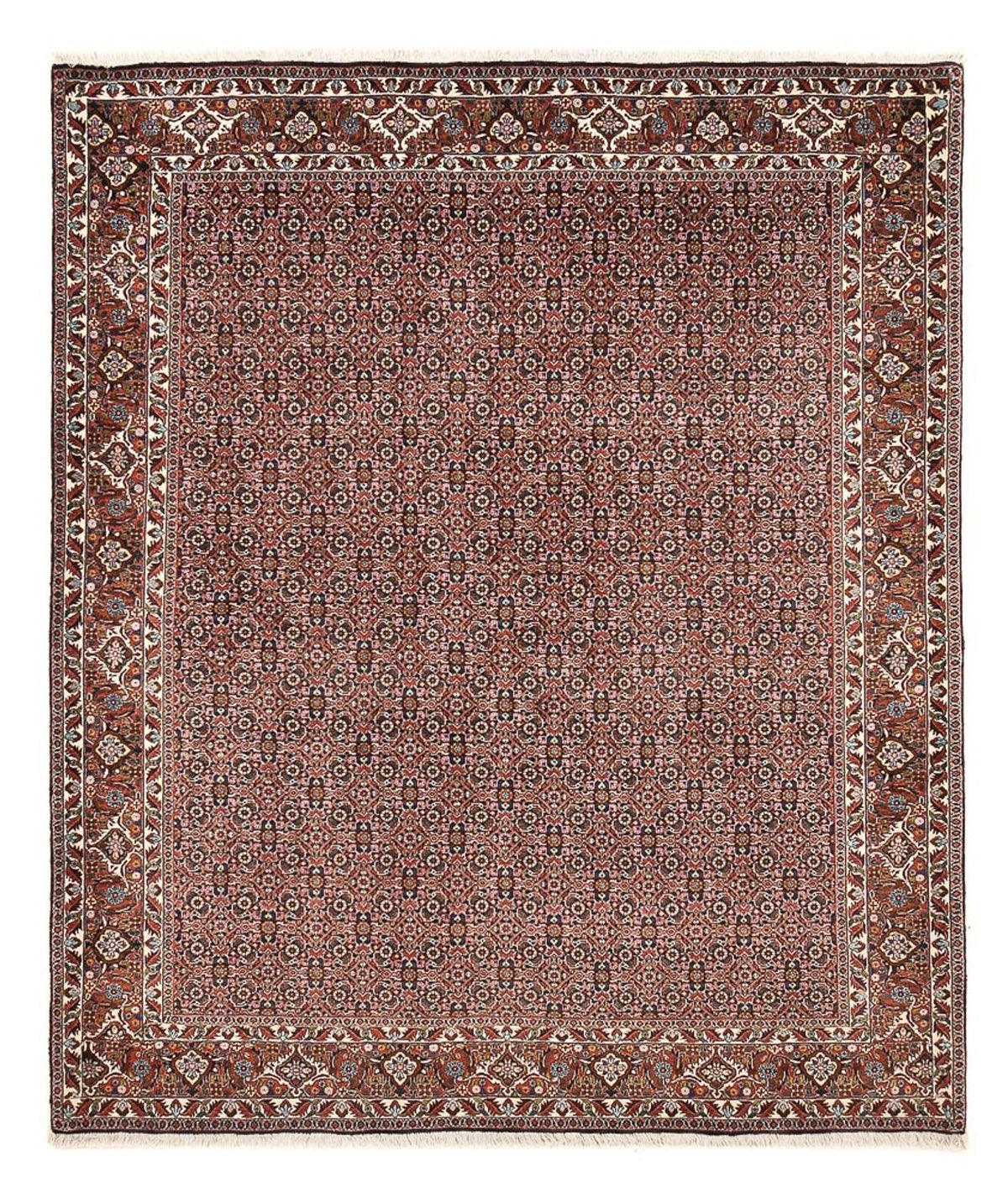 Tapis persan - Bidjar - 239 x 202 cm - rouille