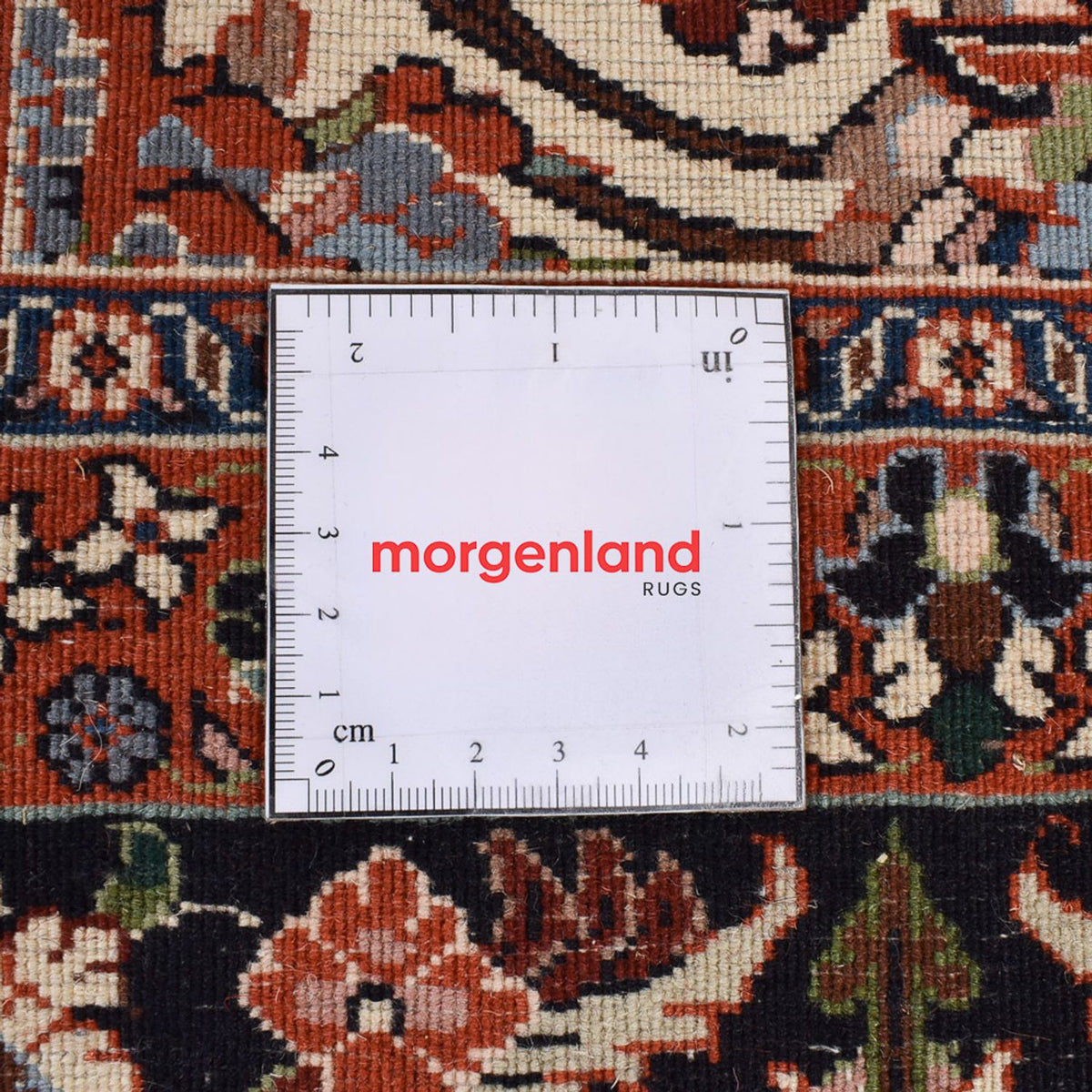 Tapis persan - Bidjar - 292 x 204 cm - crème