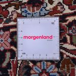 Tapis persan - Bidjar ronde  - 300 x 300 cm - rouge clair