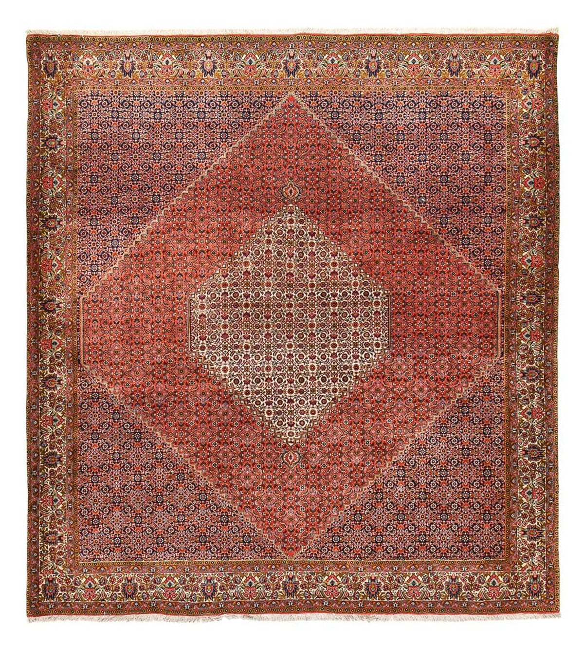 Tapis persan - Bidjar - 294 x 260 cm - rouge