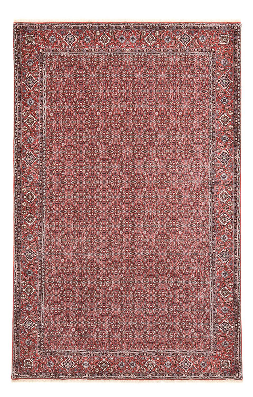 Tapis persan - Bidjar - 347 x 221 cm - rouille