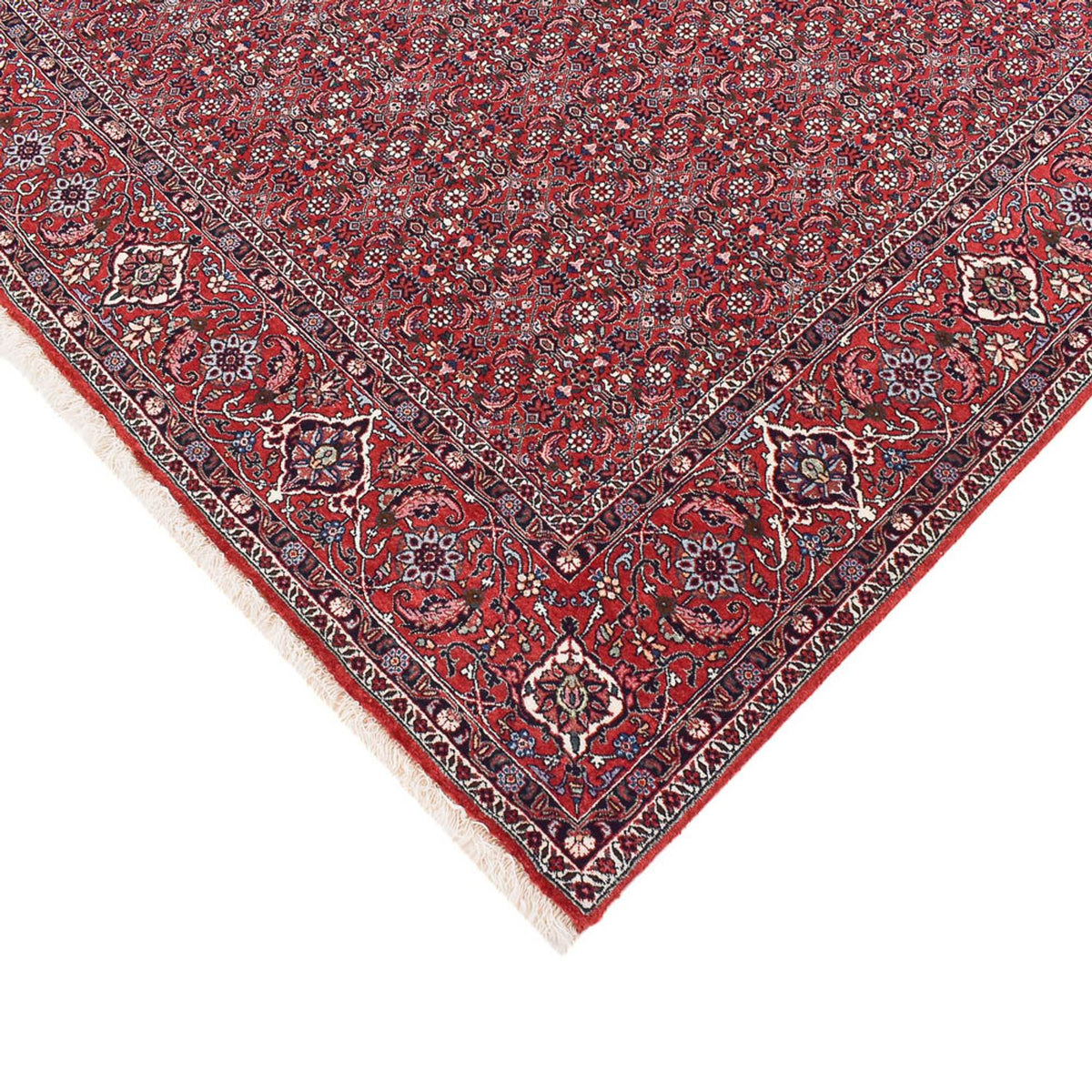 Tapis persan - Bidjar - 347 x 221 cm - rouille
