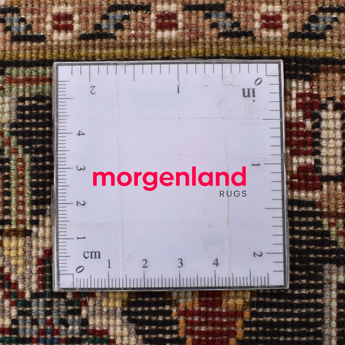 Tapis persan - Tabriz - Royal carré  - 253 x 245 cm - beige foncé