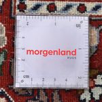 Tapis persan - Classique - 290 x 204 cm - rouille