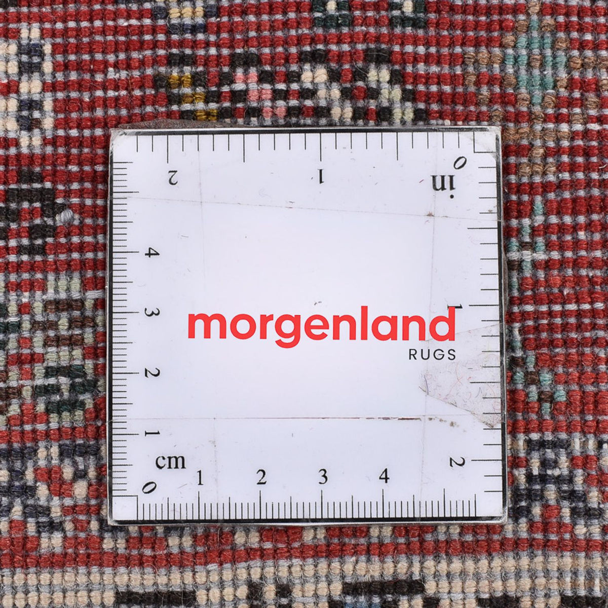 Tapis de couloir Tapis persan - Nomadic - 290 x 85 cm - crème