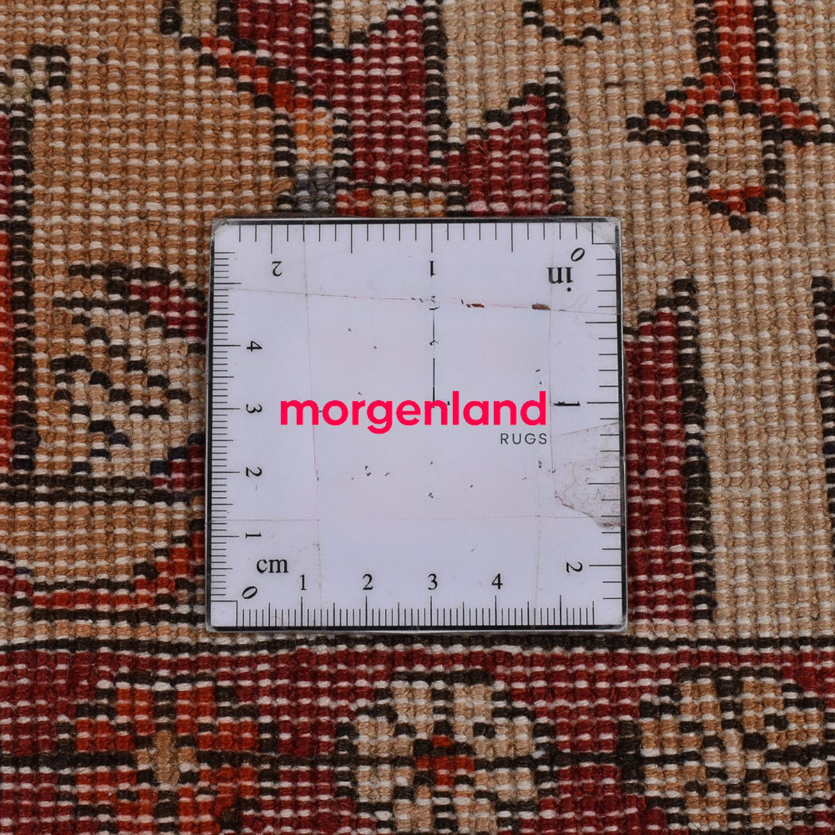 Tapis de couloir Tapis persan - Nomadic - 345 x 82 cm - beige