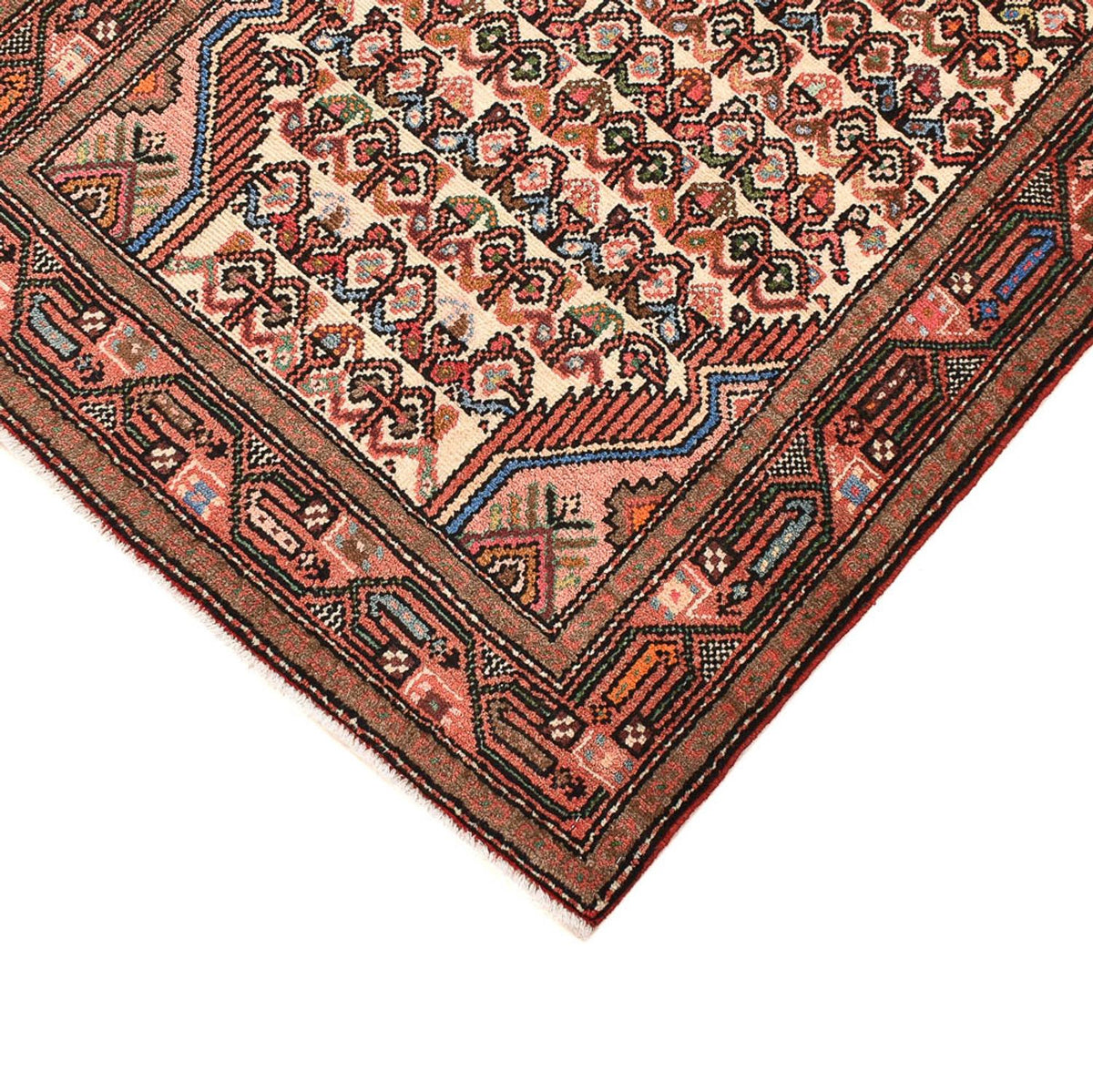 Tapis de couloir Tapis persan - Nomadic - 215 x 85 cm - beige