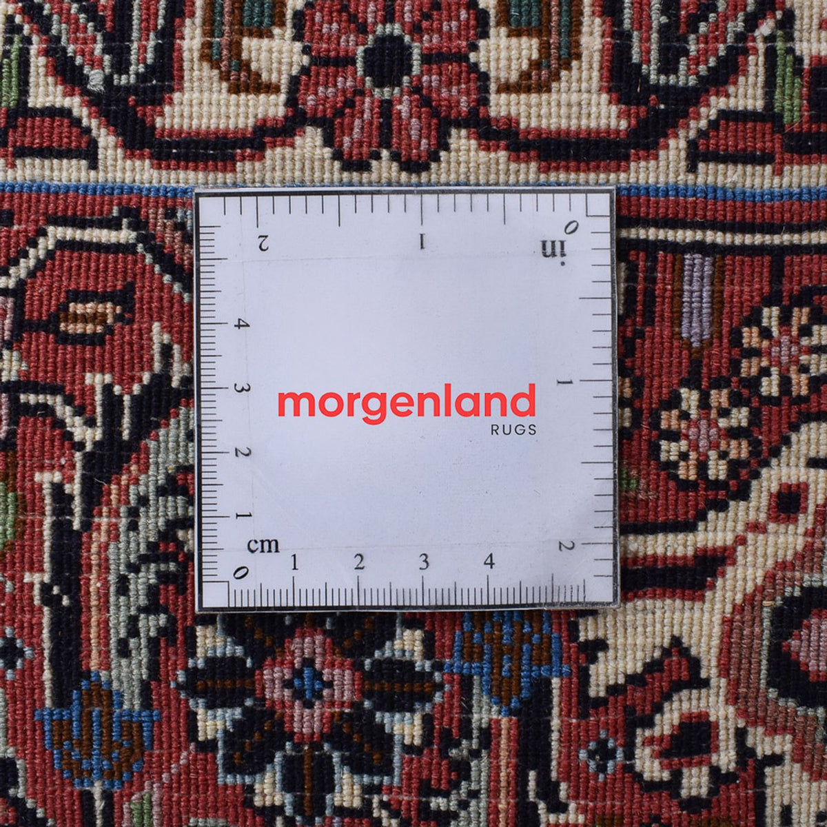 Tapis persan - Bidjar - 305 x 205 cm - rouille