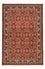 Tapis persan - Bidjar - 207 x 139 cm - rouge