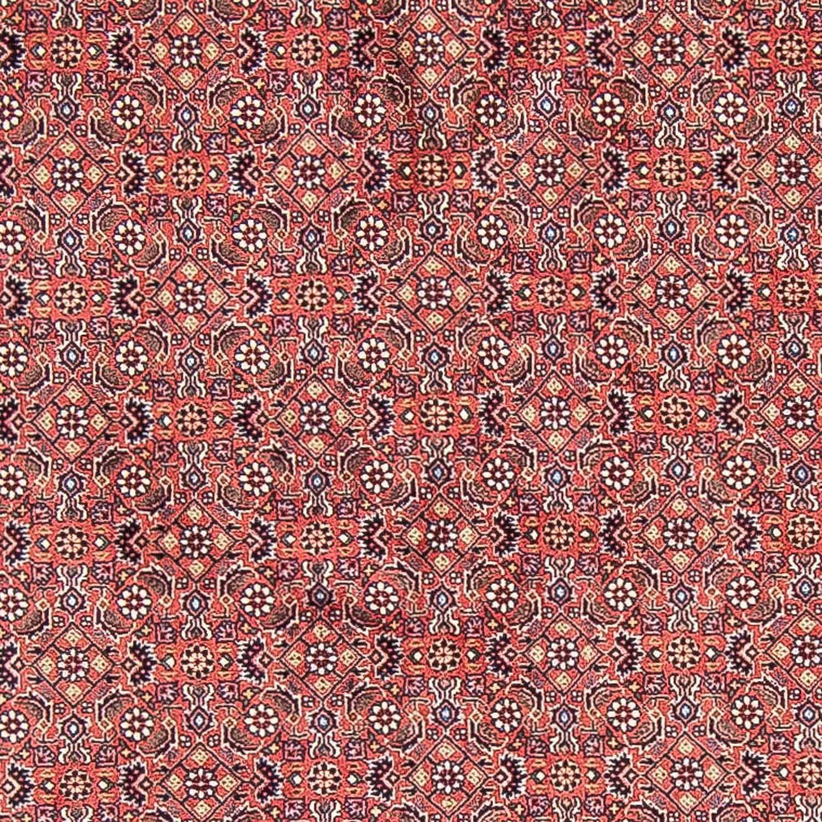 Tapis persan - Bidjar ronde - 305 x 305 cm - rouge clair