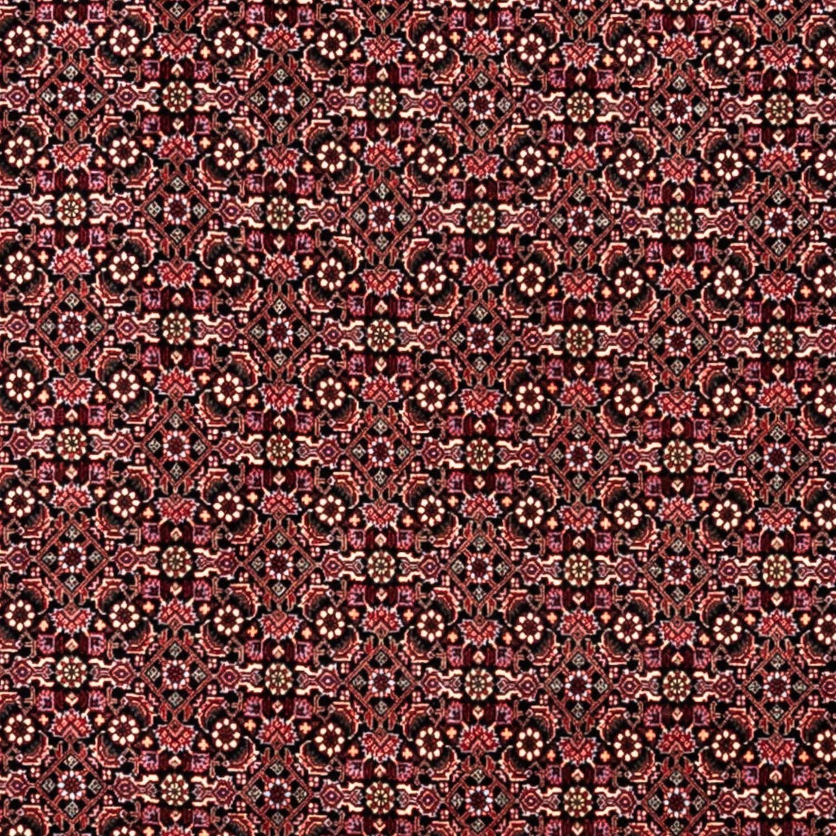 Tapis persan - Bidjar - 346 x 250 cm - rouge foncé