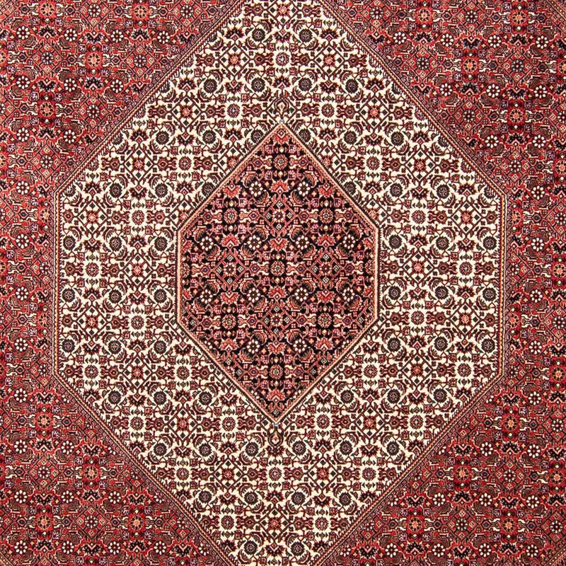 Tapis persan - Bidjar - 309 x 256 cm - rouge foncé
