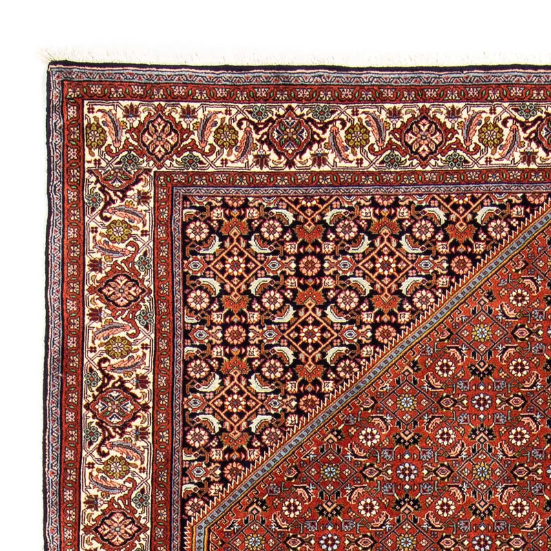 Tapis persan - Bidjar - 245 x 167 cm - marron