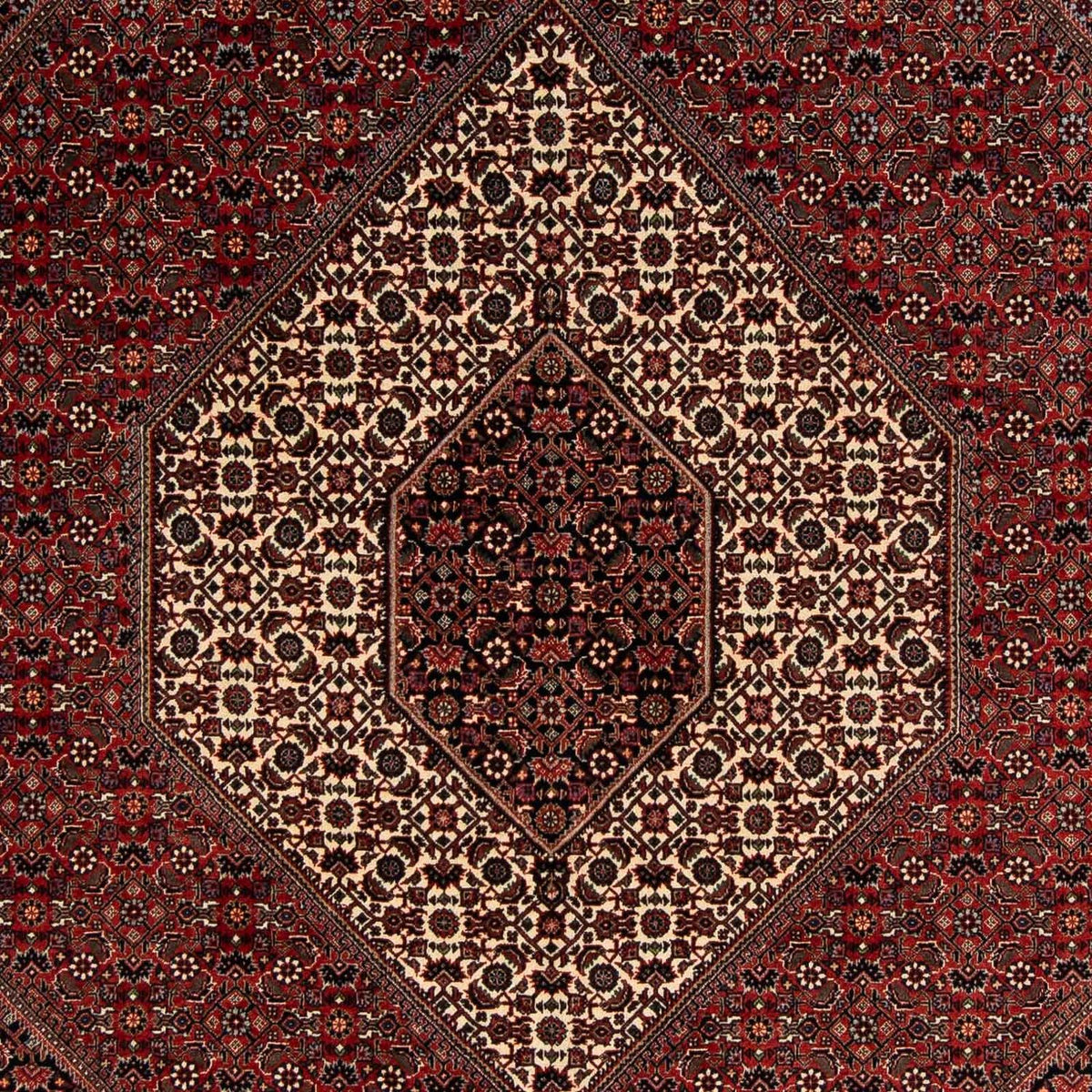 Tapis persan - Bidjar - 259 x 200 cm - rouge foncé