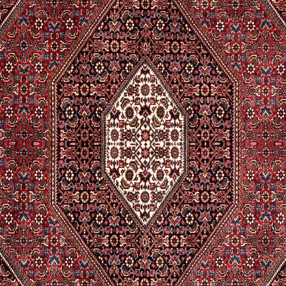Tapis persan - Bidjar - 246 x 167 cm - rouge foncé