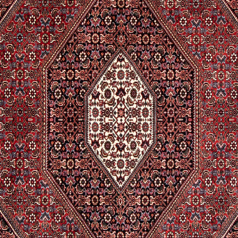 Tapis persan - Bidjar - 246 x 167 cm - rouge foncé
