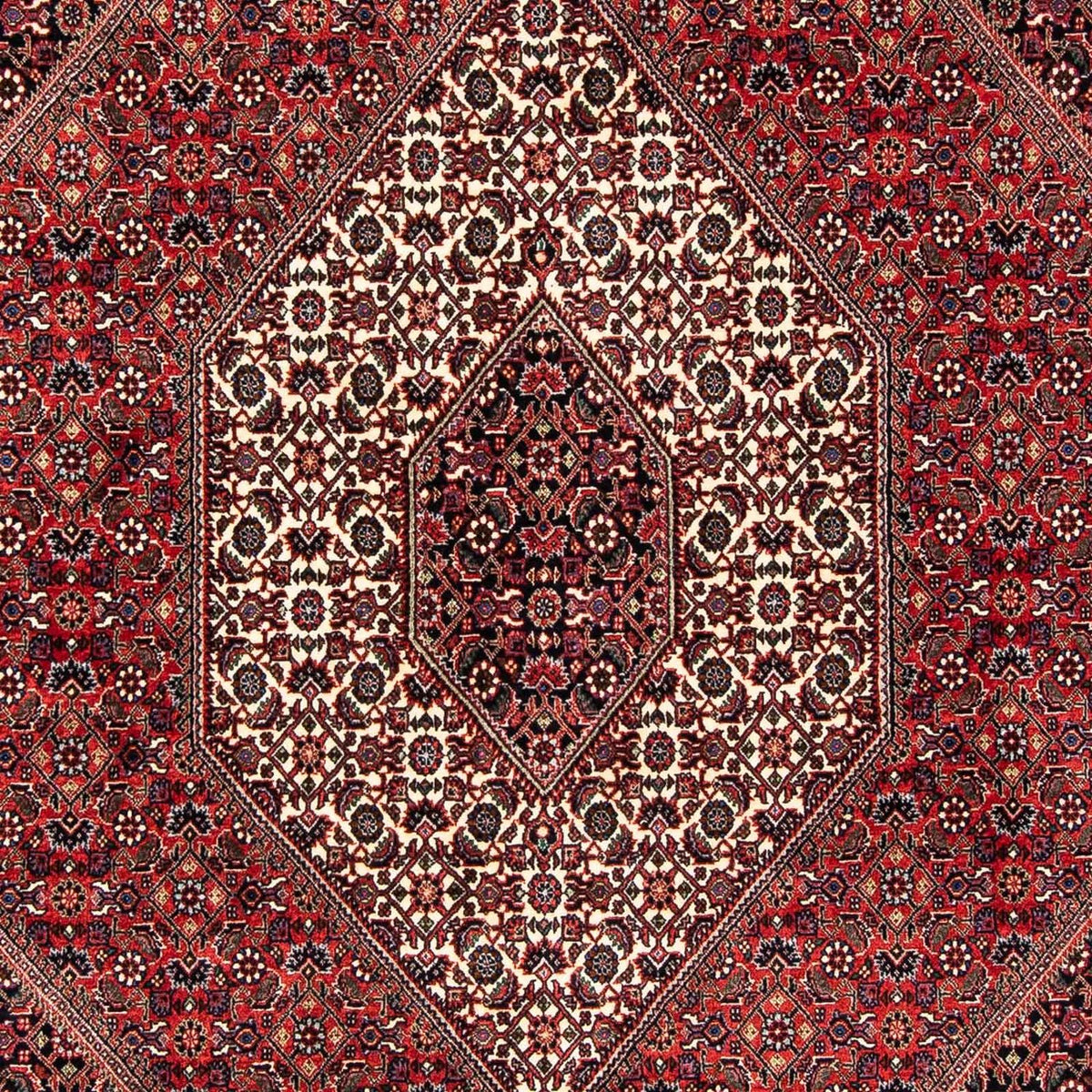 Tapis persan - Bidjar - 245 x 167 cm - rouge foncé