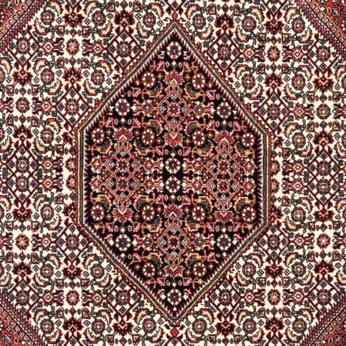 Tapis persan - Bidjar - 295 x 200 cm - rouge