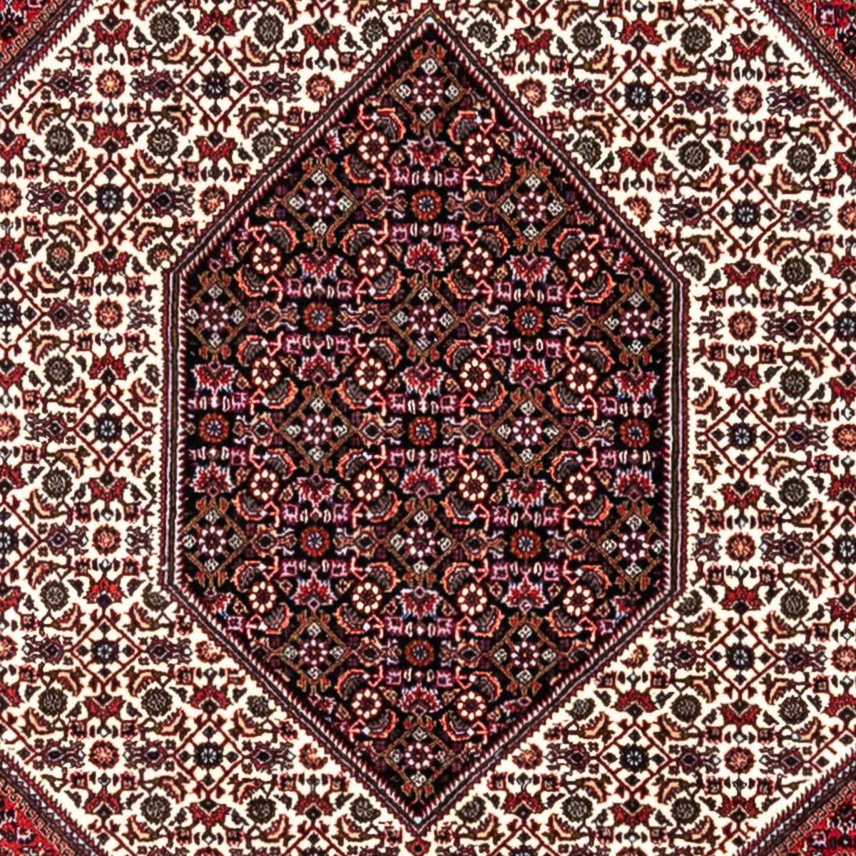 Tapis persan - Bidjar - 302 x 200 cm - rouge