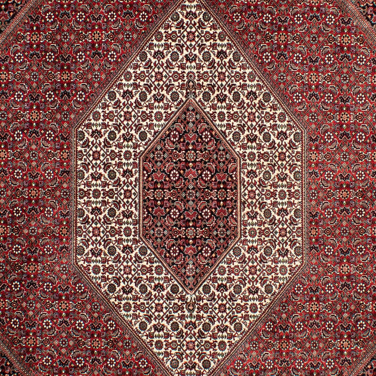 Tapis persan - Bidjar - 298 x 200 cm - rouge foncé