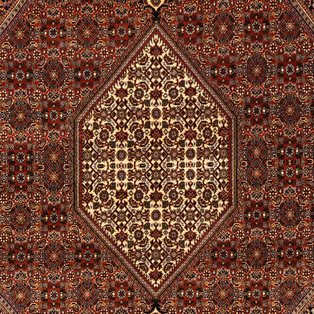 Tapis persan - Bidjar - 274 x 171 cm - marron