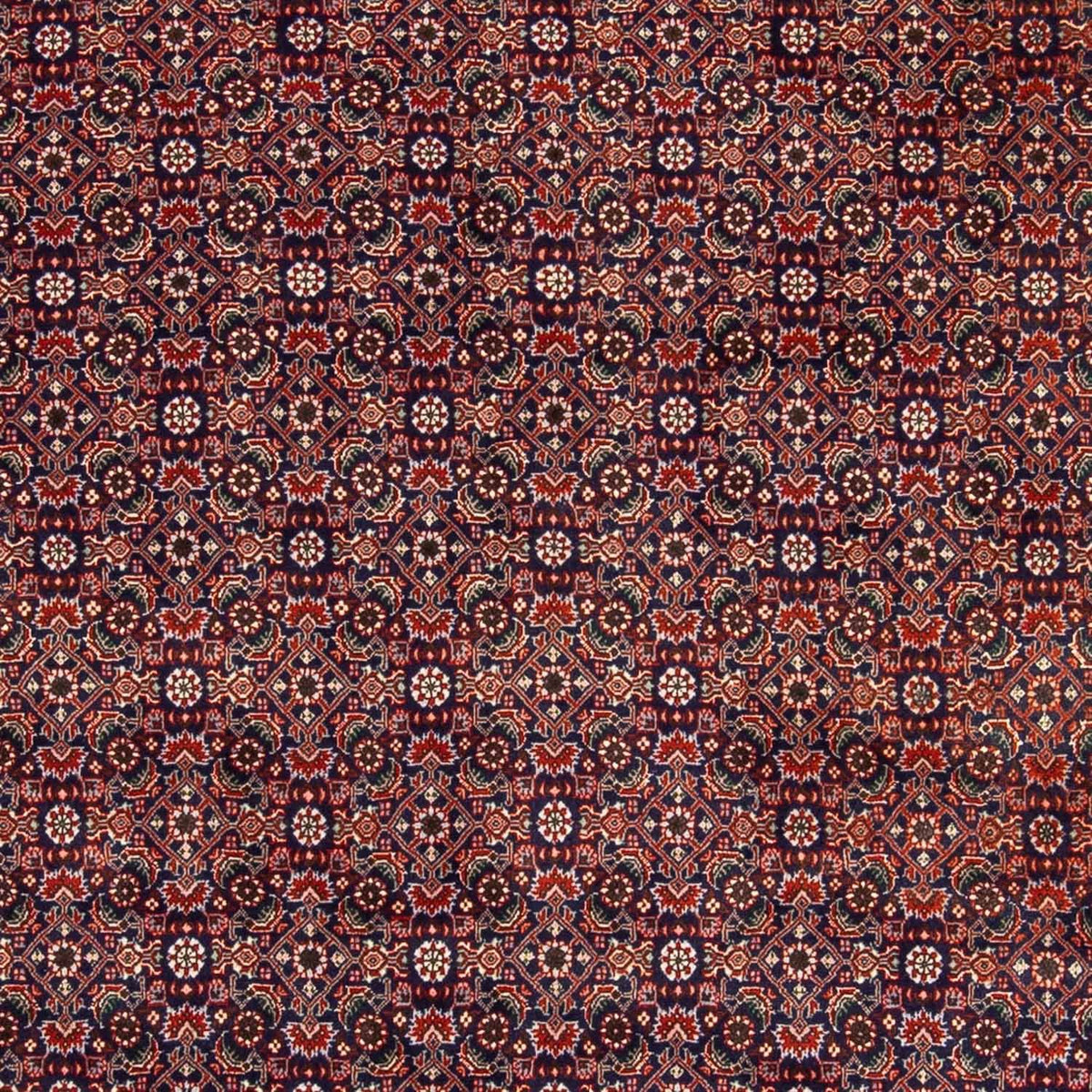 Tapis persan - Bidjar - 237 x 168 cm - rouge clair