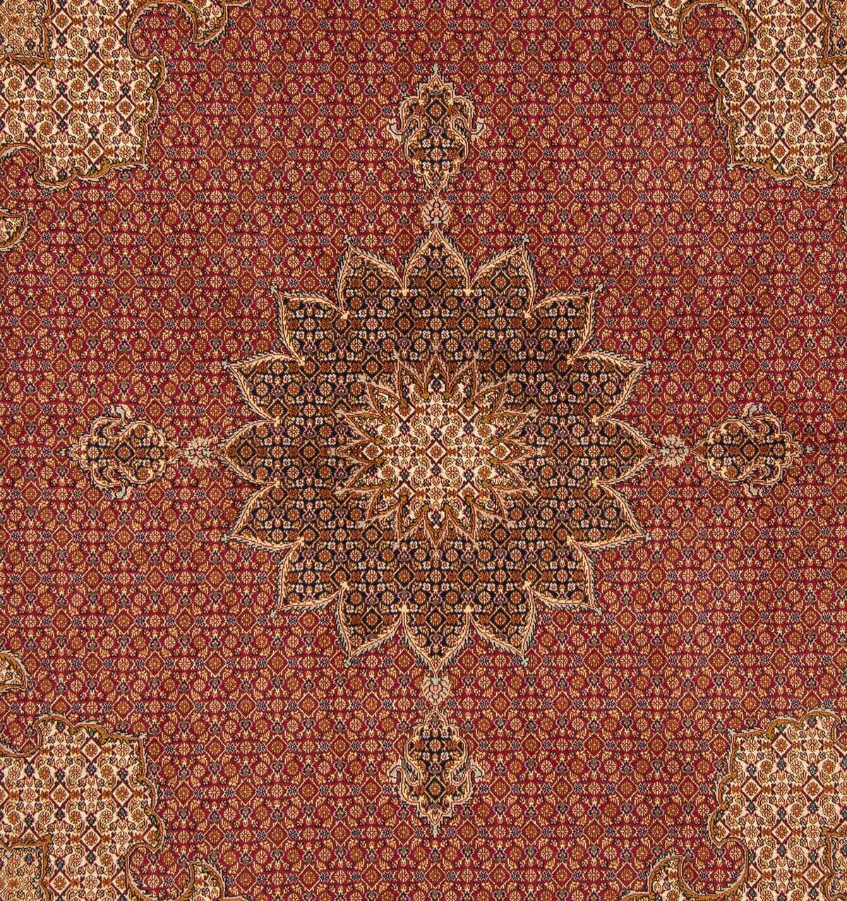 Tapis persan - Tabriz carré - 204 x 201 cm - rouge foncé